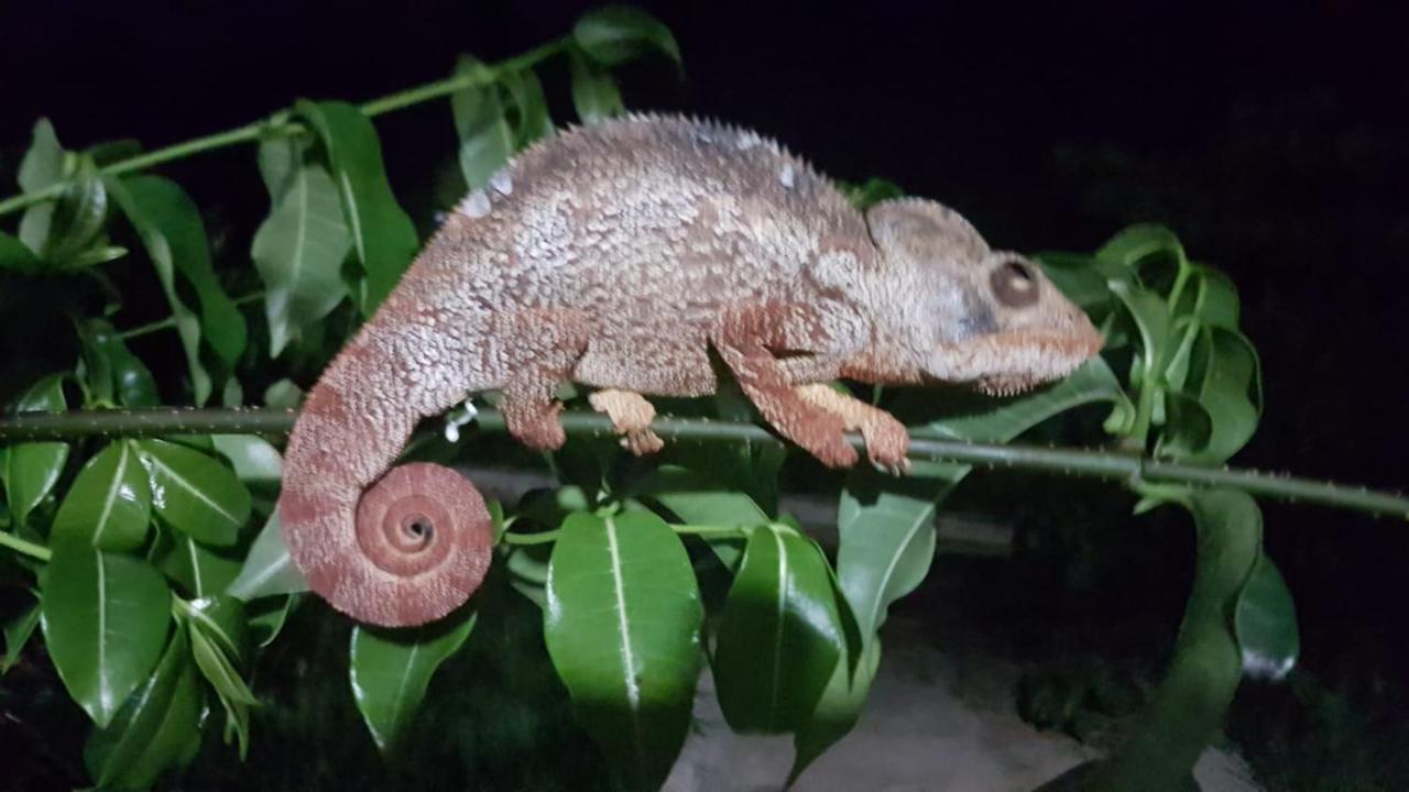 Sanjeela-Plage Coco Antsiranana Bagian luar foto