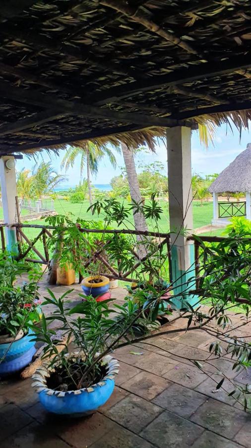 Sanjeela-Plage Coco Antsiranana Bagian luar foto